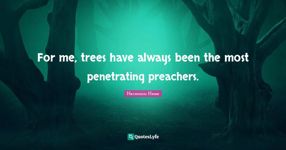 For me, trees have always been the most penetrating preachers.