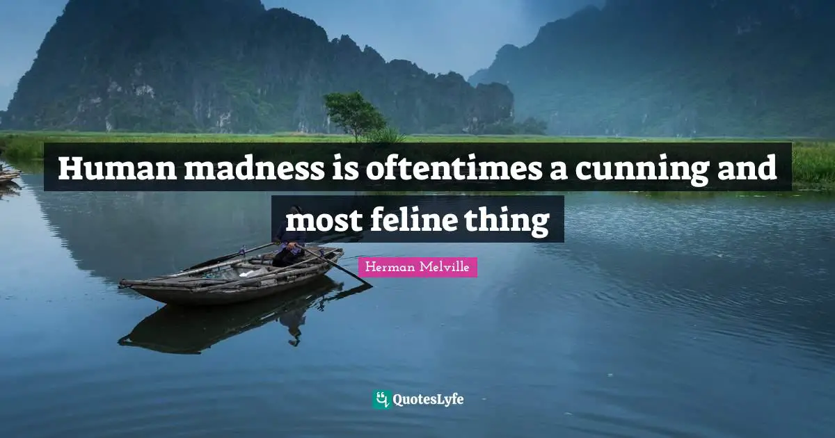 Human madness is oftentimes a cunning and most feline thing