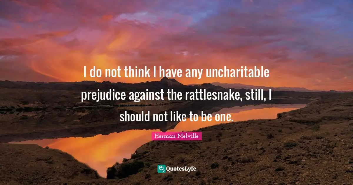 I do not think I have any uncharitable prejudice against the rattlesnake, still, I should not like to be one.