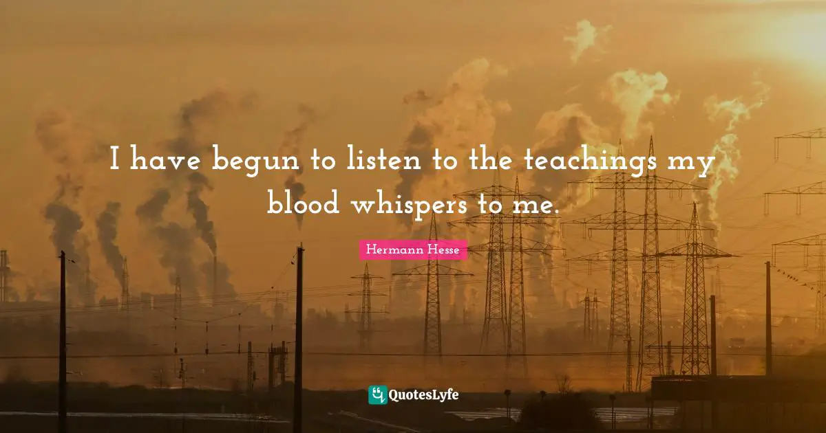 I have begun to listen to the teachings my blood whispers to me.