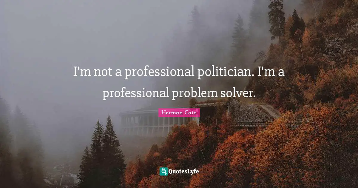 I'm not a professional politician. I'm a professional problem solver.