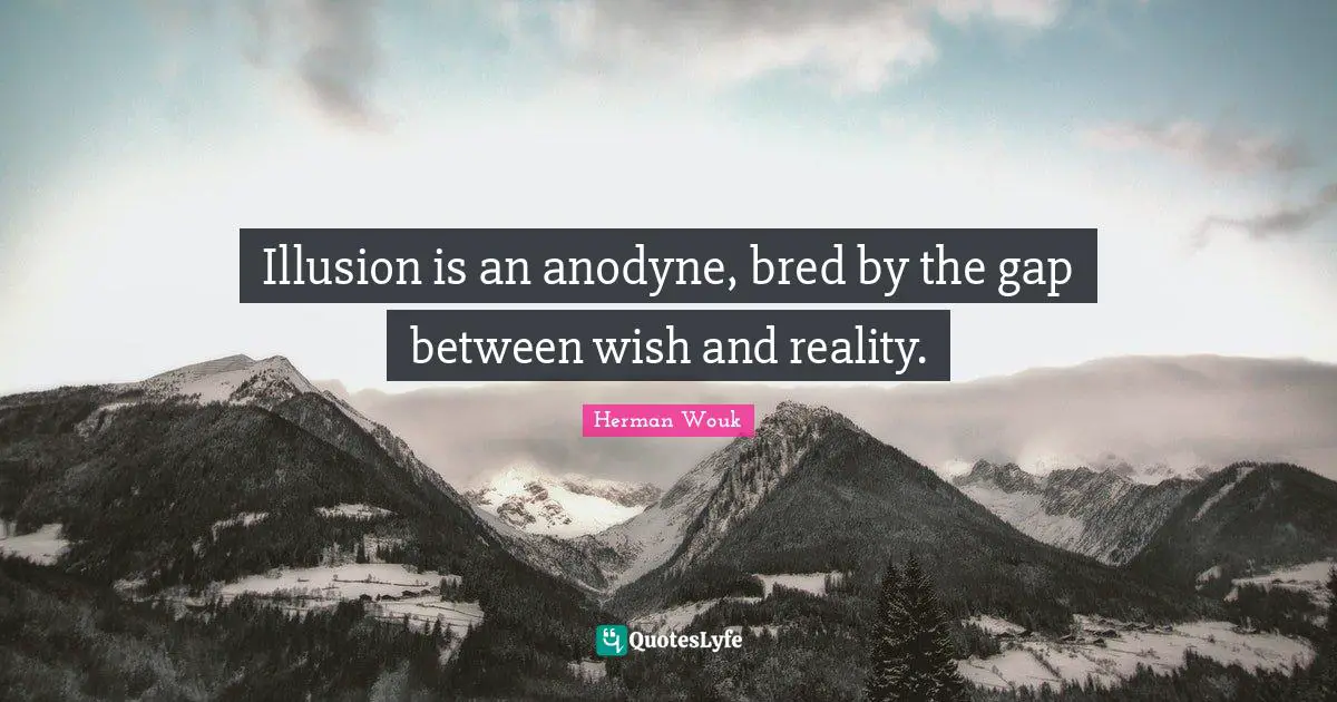 Illusion is an anodyne, bred by the gap between wish and reality.