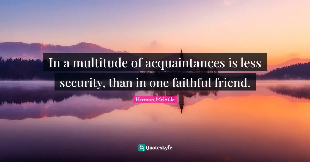 In a multitude of acquaintances is less security, than in one faithful friend.