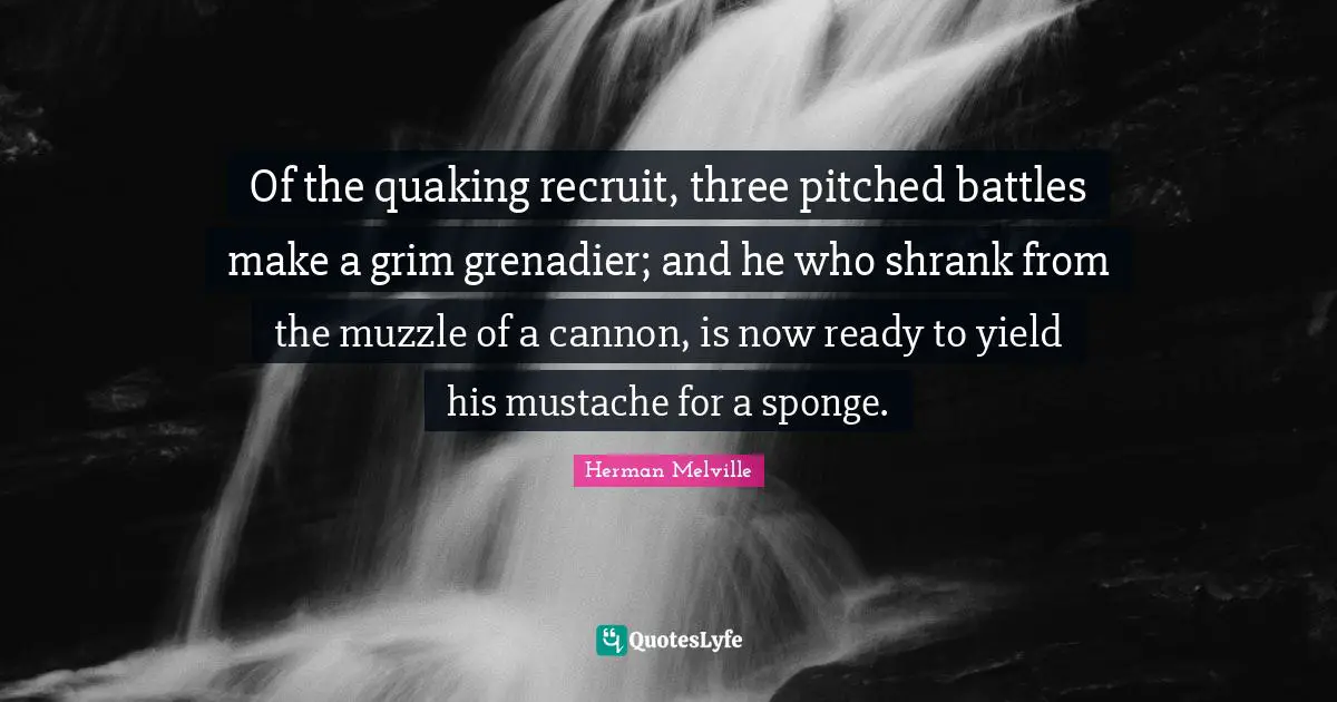 Of the quaking recruit, three pitched battles make a grim grenadier; and he who shrank from the muzzle of a cannon, is now ready to yield his mustache for a sponge.