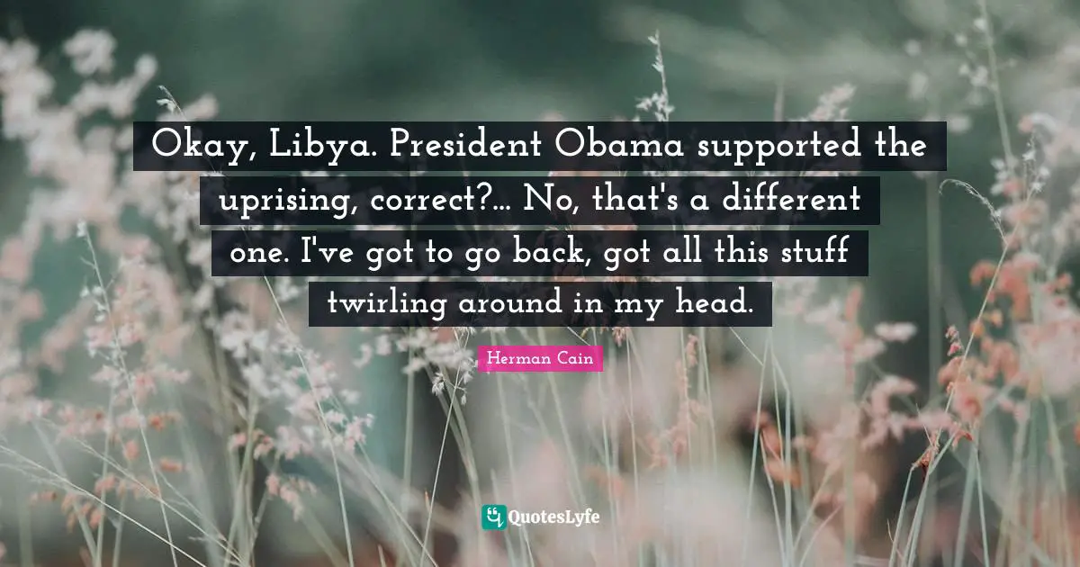 Okay, Libya. President Obama supported the uprising, correct?... No, that's a different one. I've got to go back, got all this stuff twirling around in my head.
