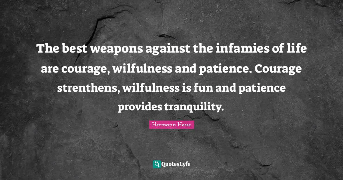 The best weapons against the infamies of life are courage, wilfulness and patience. Courage strenthens, wilfulness is fun and patience provides tranquility.