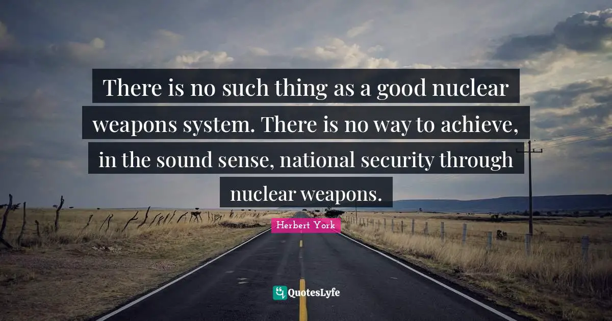 There is no such thing as a good nuclear weapons system. There is no way to achieve, in the sound sense, national security through nuclear weapons.