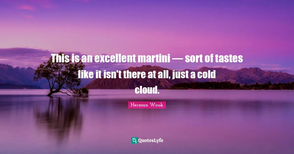 This is an excellent martini — sort of tastes like it isn't there at all, just a cold cloud.