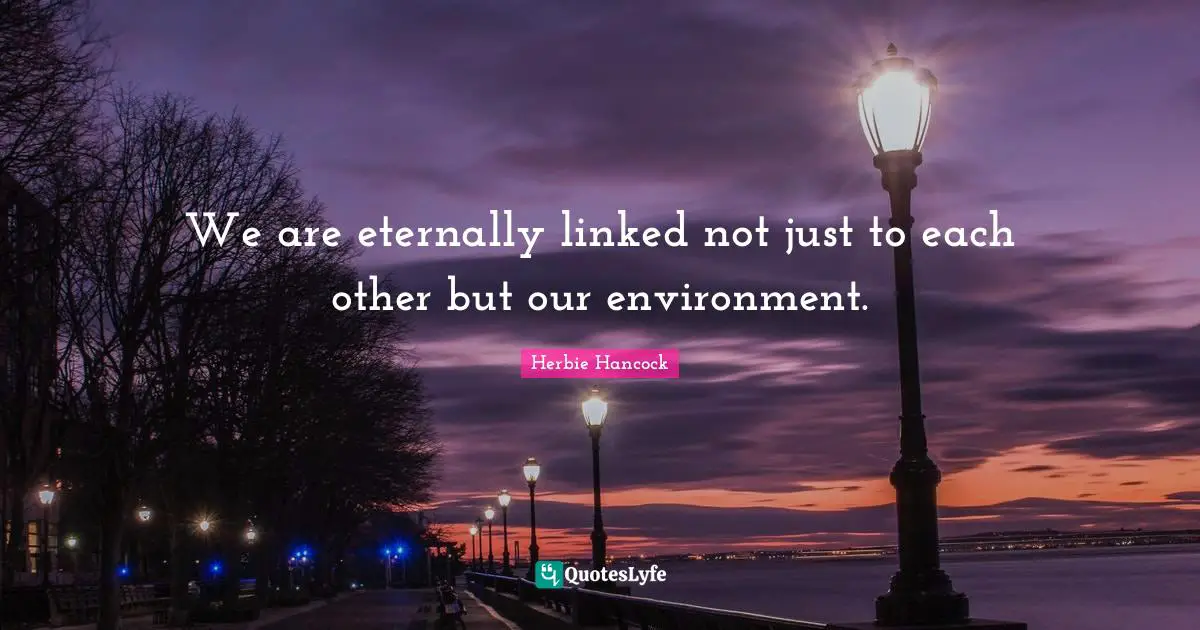 We are eternally linked not just to each other but our environment.