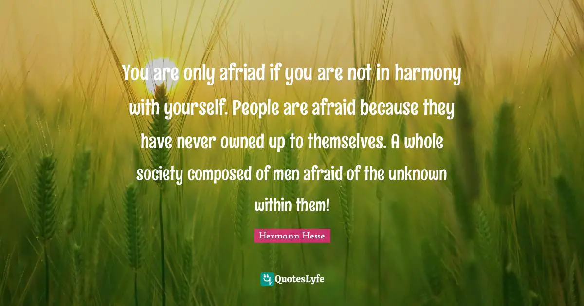 Hermann Hesse Quotes: "You are only afriad if you are not in harmony with yourself. People are afraid because they have never owned up to themselves. A whole society composed of men afraid of the unknown within them!"