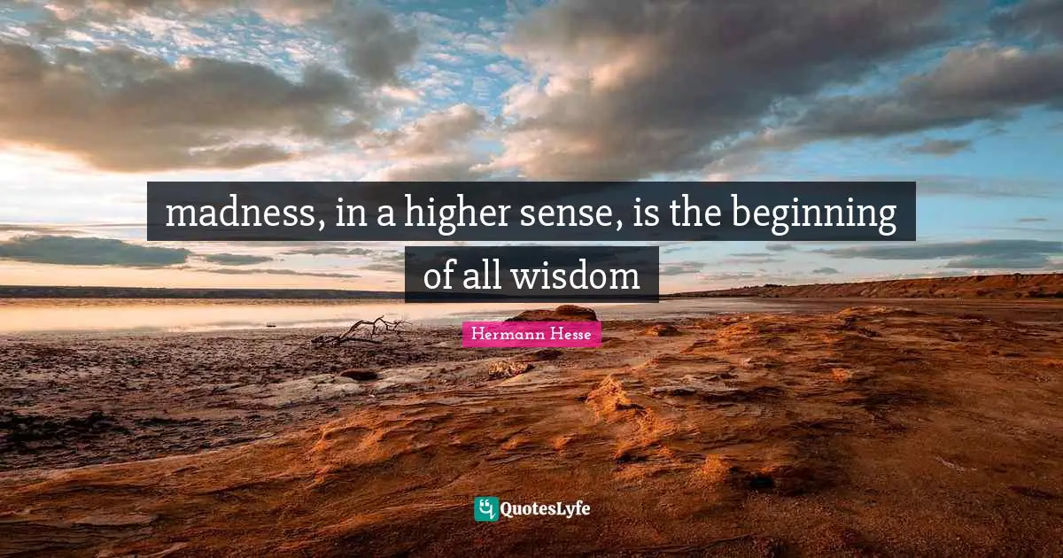 Hermann Hesse Quotes: "madness, in a higher sense, is the beginning of all wisdom"