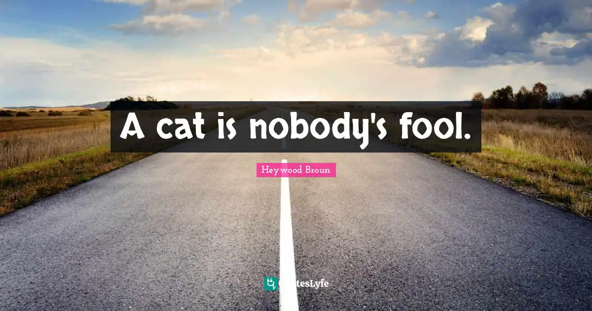 Animal Rights Quotes: "A cat is nobody's fool."