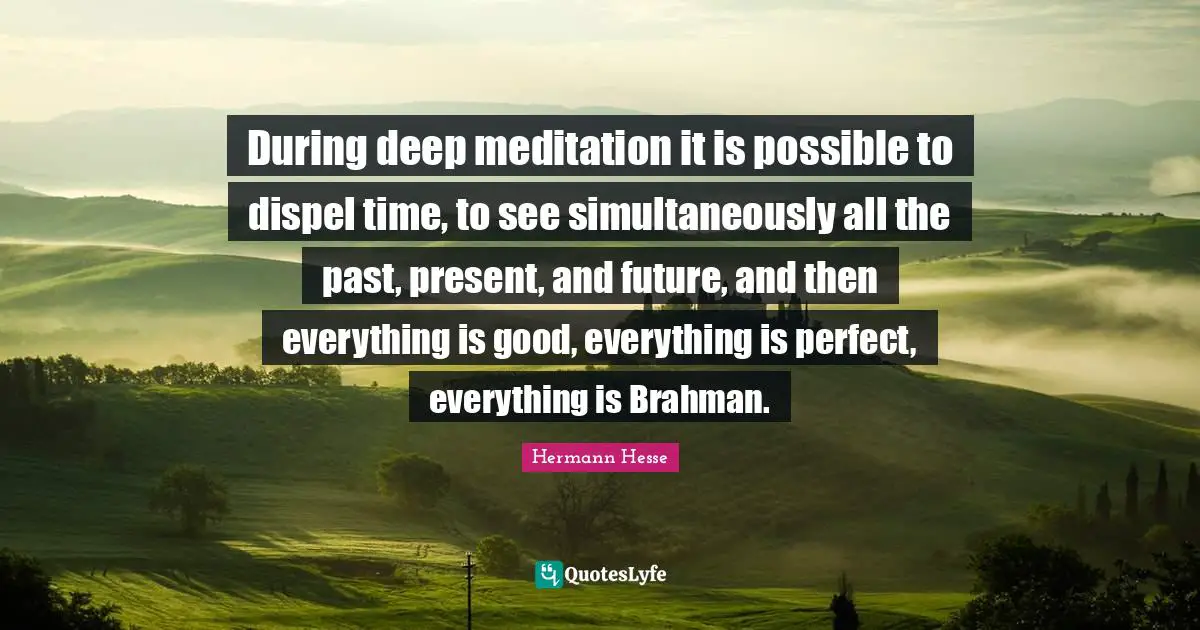 During deep meditation it is possible to dispel time, to see simultaneously all the past, present, and future, and then everything is good, everything is perfect, everything is Brahman.