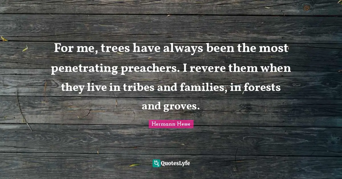 For me, trees have always been the most penetrating preachers. I revere them when they live in tribes and families, in forests and groves.