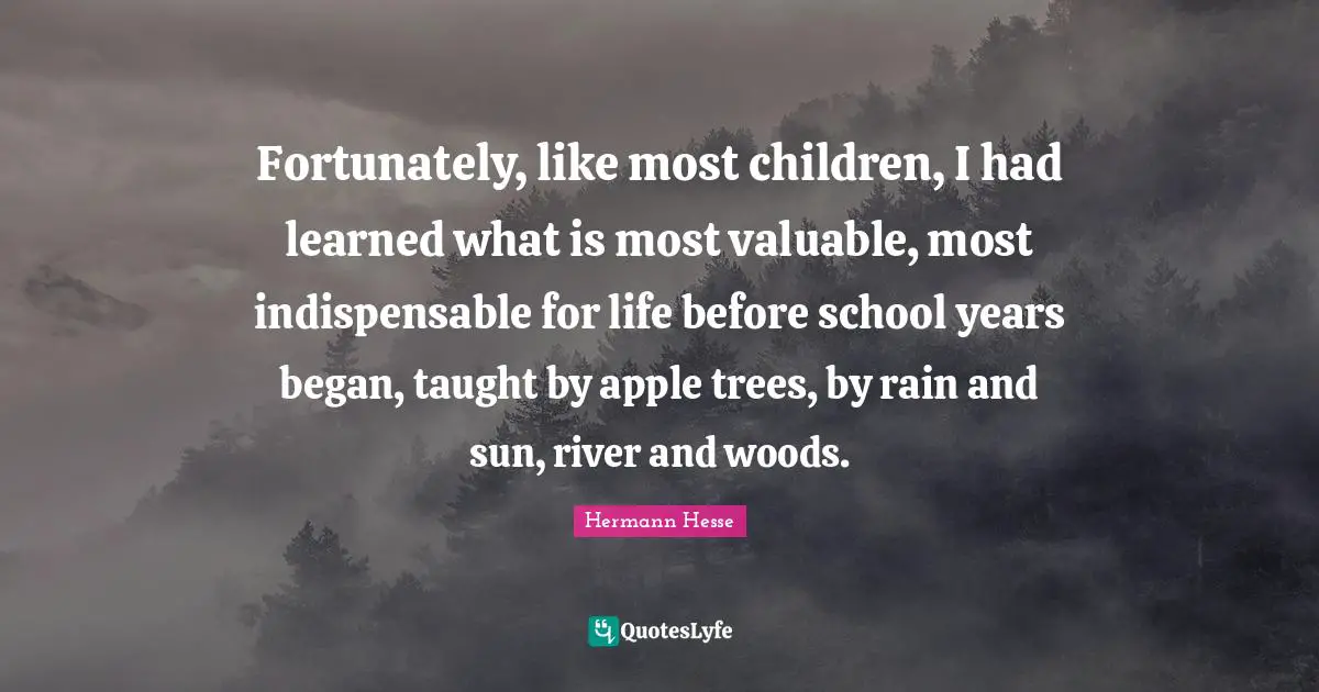 Fortunately, like most children, I had learned what is most valuable, most indispensable for life before school years began, taught by apple trees, by rain and sun, river and woods.