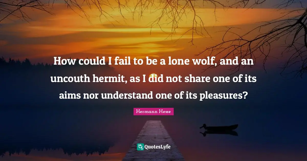How could I fail to be a lone wolf, and an uncouth hermit, as I did not share one of its aims nor understand one of its pleasures?