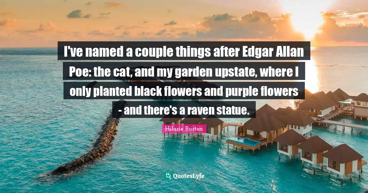 I've named a couple things after Edgar Allan Poe: the cat, and my garden upstate, where I only planted black flowers and purple flowers - and there's a raven statue.
