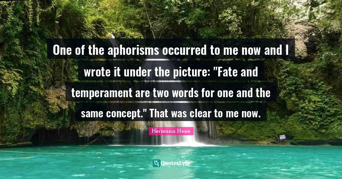 One of the aphorisms occurred to me now and I wrote it under the picture: "Fate and temperament are two words for one and the same concept." That was clear to me now.