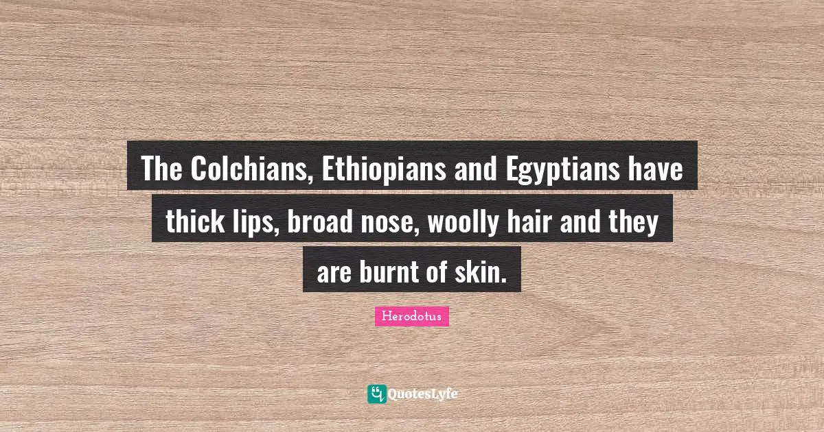 The Colchians, Ethiopians and Egyptians have thick lips, broad nose, woolly hair and they are burnt of skin.