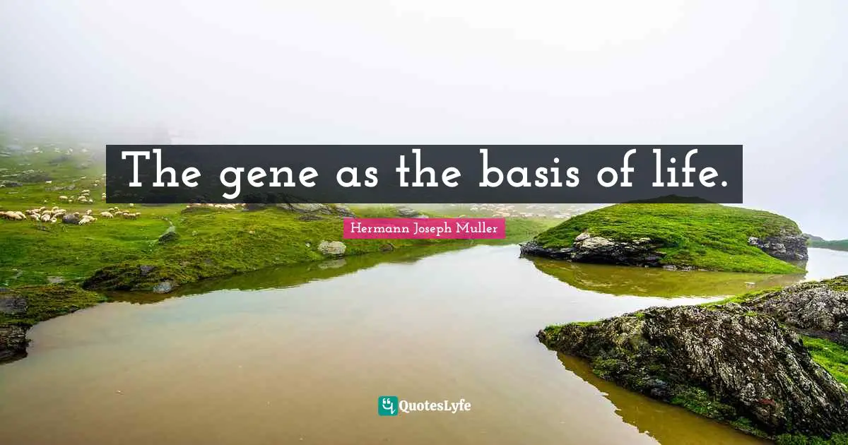 Hermann Joseph Muller Quotes: "The gene as the basis of life."