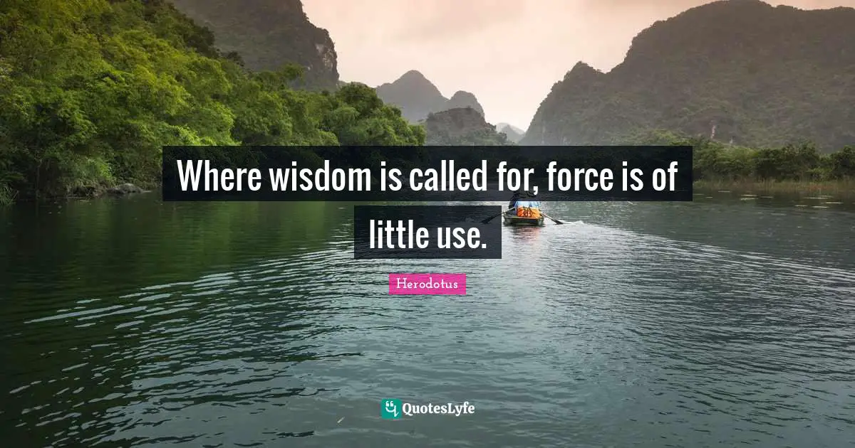 Where wisdom is called for, force is of little use.