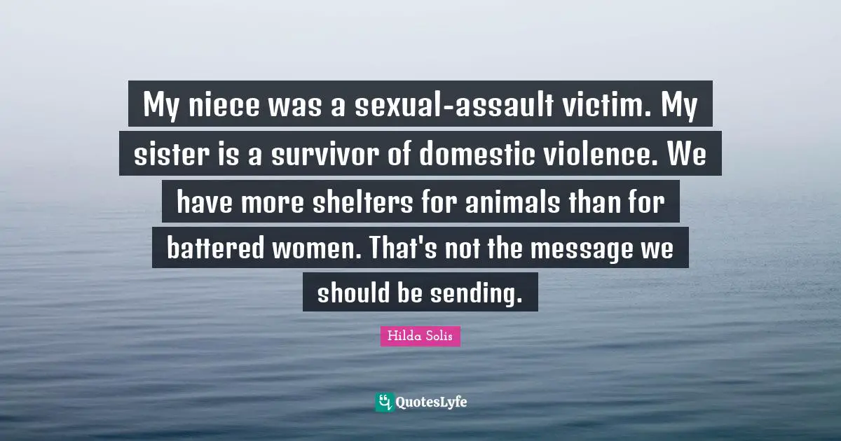 Victim Quotes: "My niece was a sexual-assault victim. My sister is a survivor of domestic violence. We have more shelters for animals than for battered women. That's not the message we should be sending."
