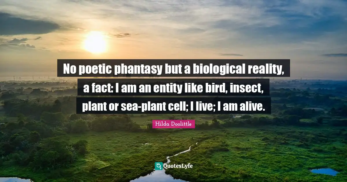 No poetic phantasy but a biological reality, a fact: I am an entity like bird, insect, plant or sea-plant cell; I live; I am alive.