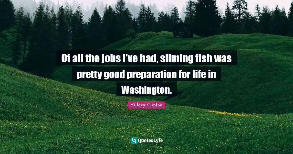 Of all the jobs I've had, sliming fish was pretty good preparation for life in Washington.