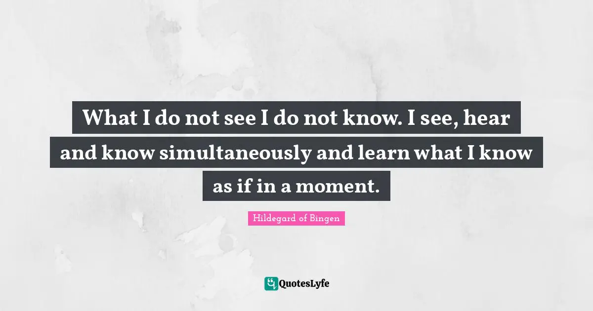 Hildegard of Bingen Quotes: What I do not see I do not know. I see, hear and know simultaneously and learn what I know as if in a moment.