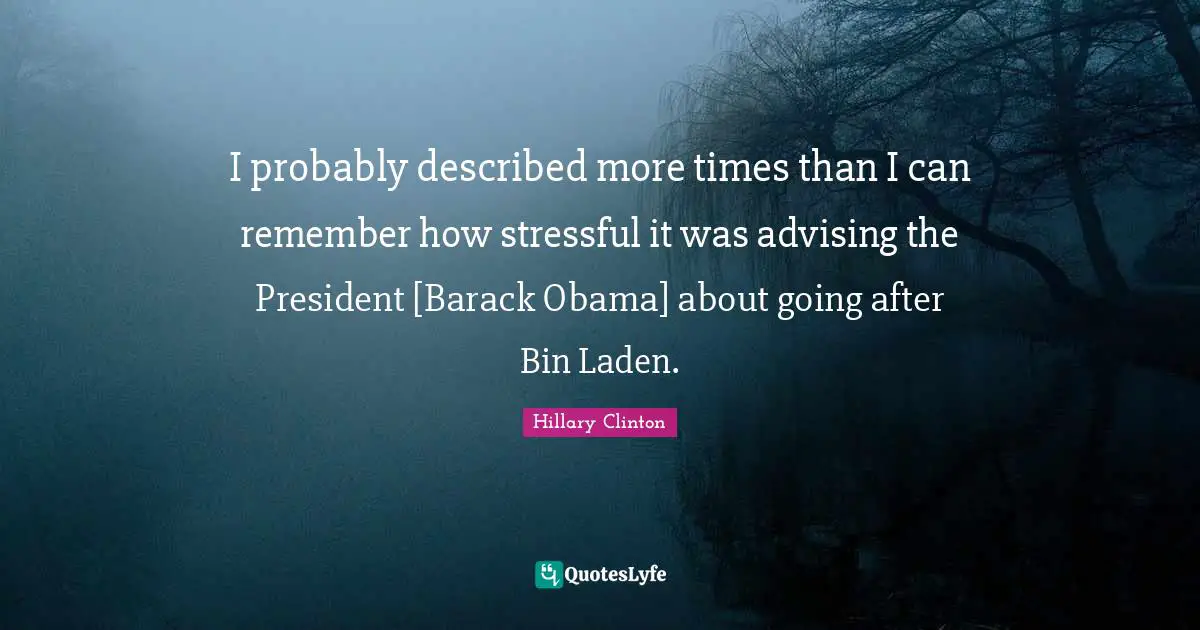 I probably described more times than I can remember how stressful it was advising the President [Barack Obama] about going after Bin Laden.