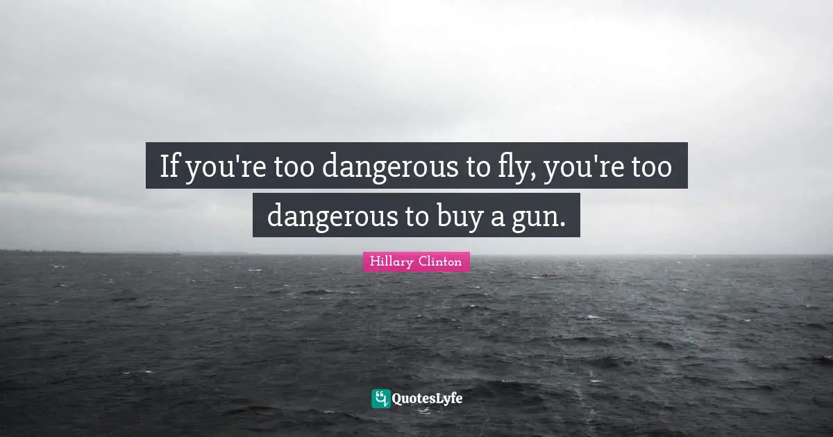 If you're too dangerous to fly, you're too dangerous to buy a gun.