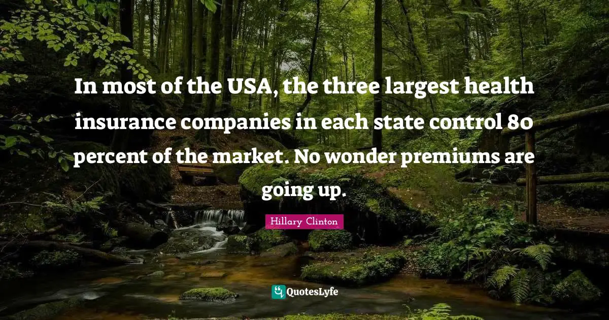 In most of the USA, the three largest health insurance companies in each state control 80 percent of the market. No wonder premiums are going up.
