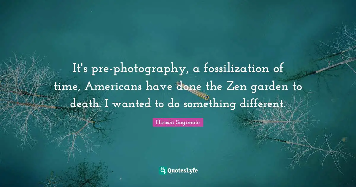 It's pre-photography, a fossilization of time, Americans have done the Zen garden to death. I wanted to do something different.