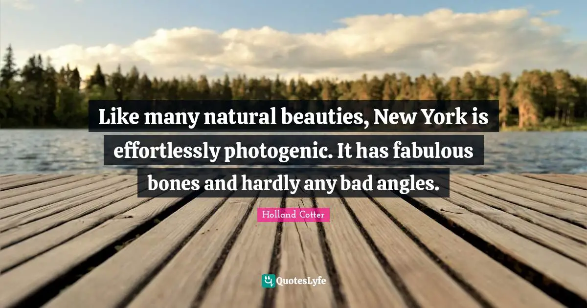 Like many natural beauties, New York is effortlessly photogenic. It has fabulous bones and hardly any bad angles.