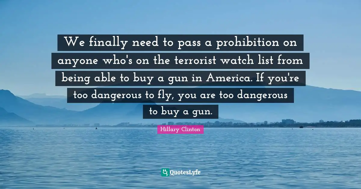 We finally need to pass a prohibition on anyone who's on the terrorist watch list from being able to buy a gun in America. If you're too dangerous to fly, you are too dangerous to buy a gun.