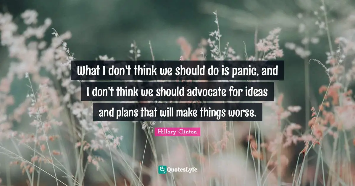 What I don't think we should do is panic, and I don't think we should advocate for ideas and plans that will make things worse.