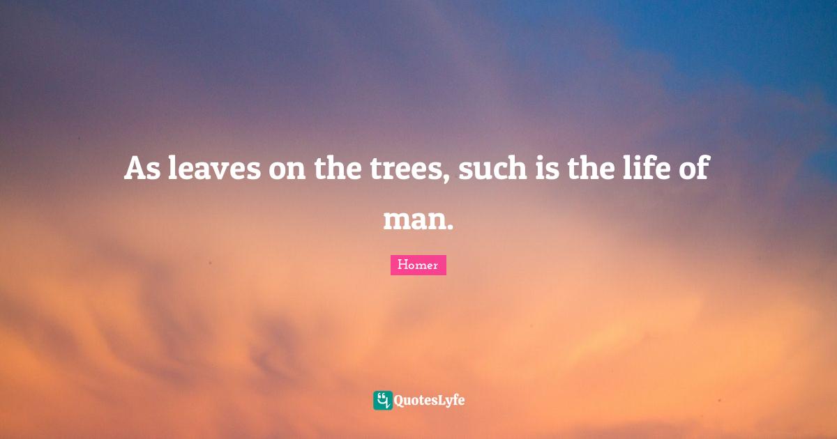 As leaves on the trees, such is the life of man.