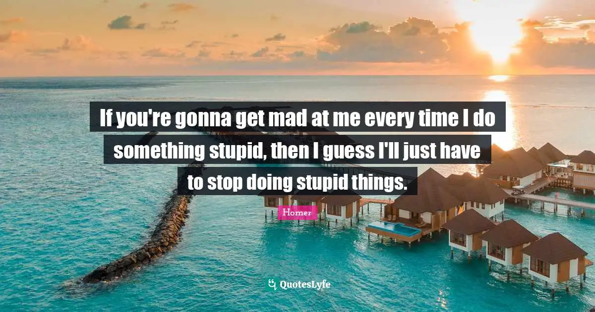 If you're gonna get mad at me every time I do something stupid, then I guess I'll just have to stop doing stupid things.