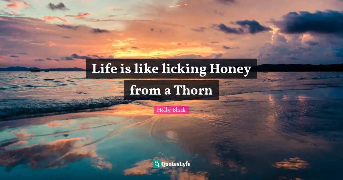 Life is like licking Honey from a Thorn