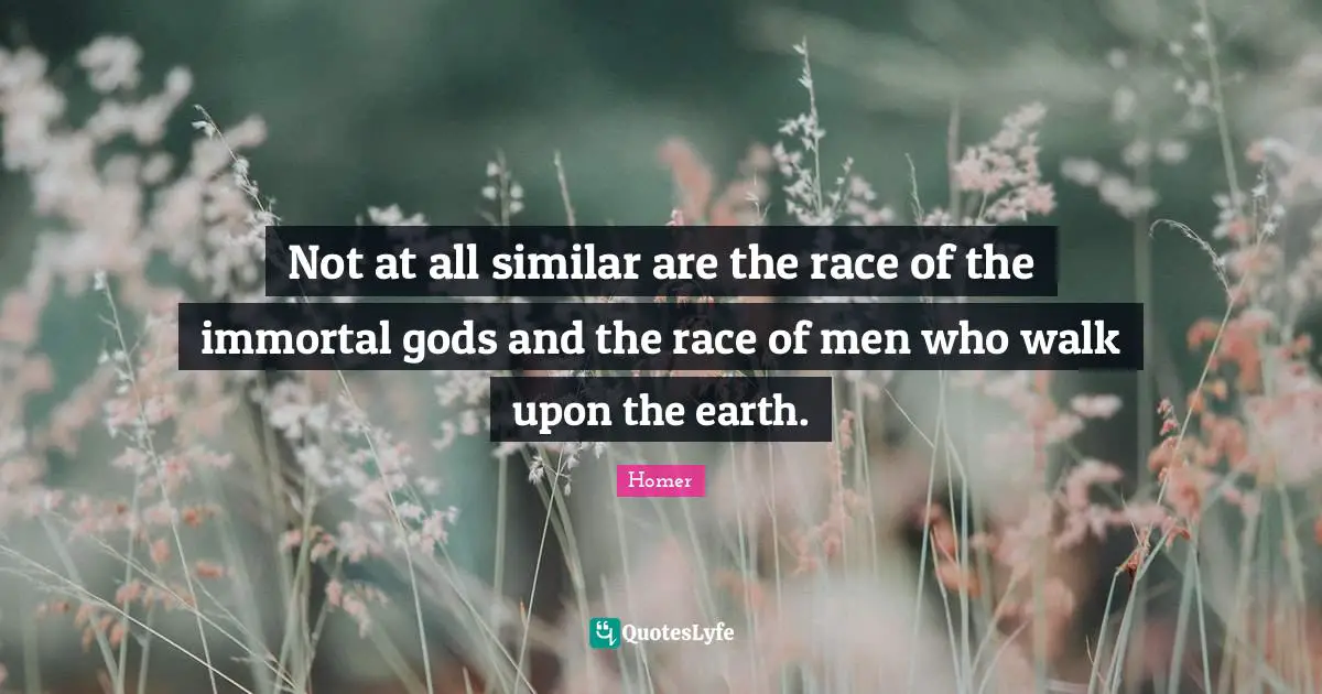 Not at all similar are the race of the immortal gods and the race of men who walk upon the earth.