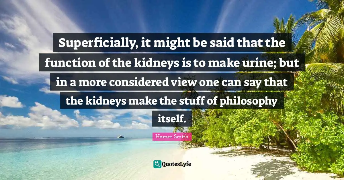 Superficially, it might be said that the function of the kidneys is to make urine; but in a more considered view one can say that the kidneys make the stuff of philosophy itself.