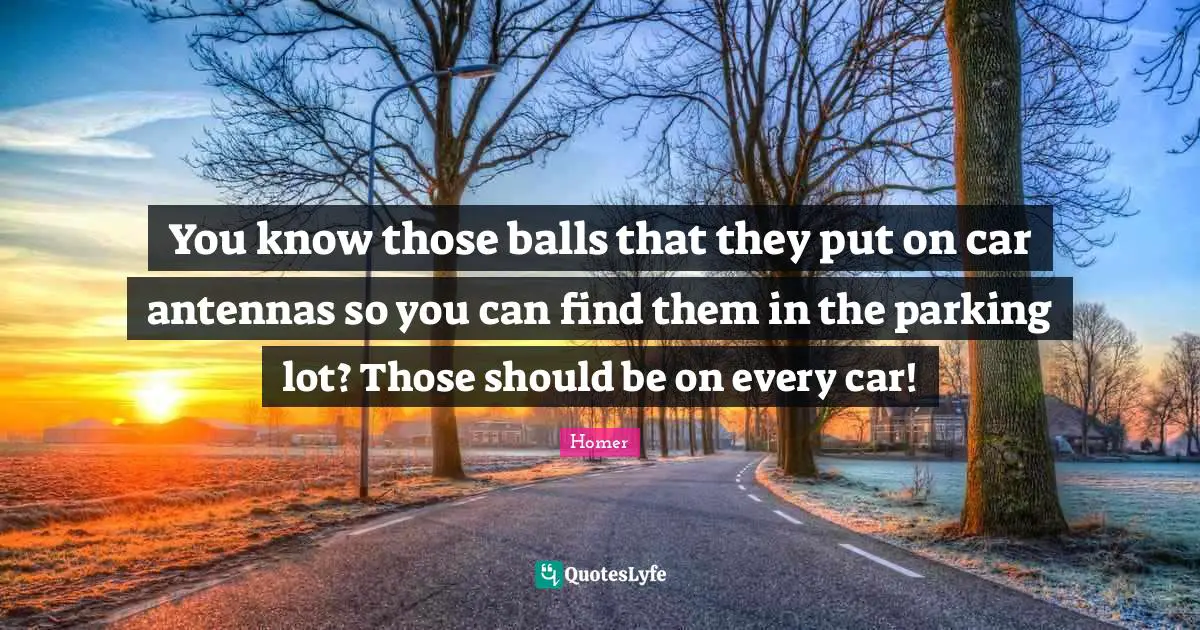 You know those balls that they put on car antennas so you can find them in the parking lot? Those should be on every car!