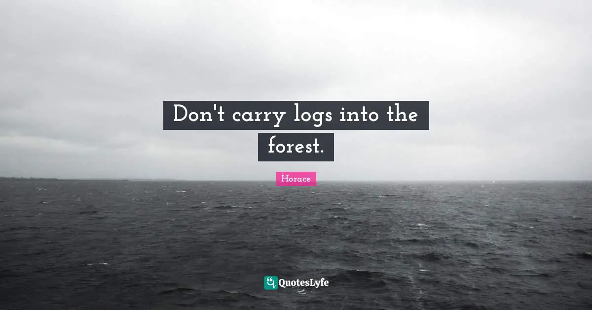 Don't carry logs into the forest.