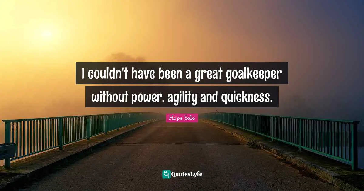Solo Quotes: "I couldn't have been a great goalkeeper without power, agility and quickness."