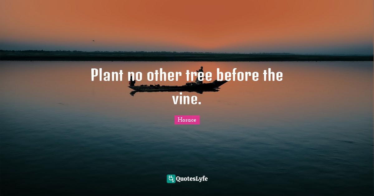 Vines Quotes: "Plant no other tree before the vine."