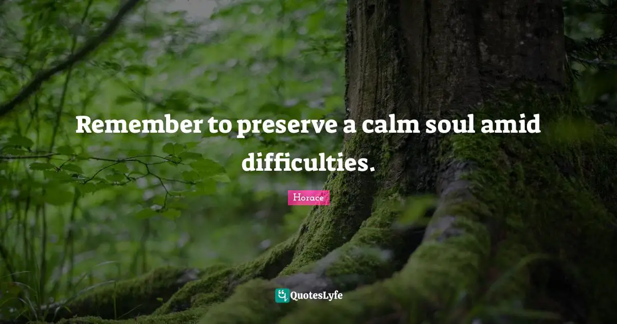 Remember to preserve a calm soul amid difficulties.