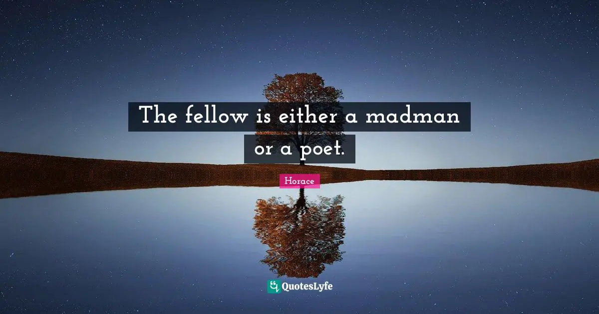 The fellow is either a madman or a poet.