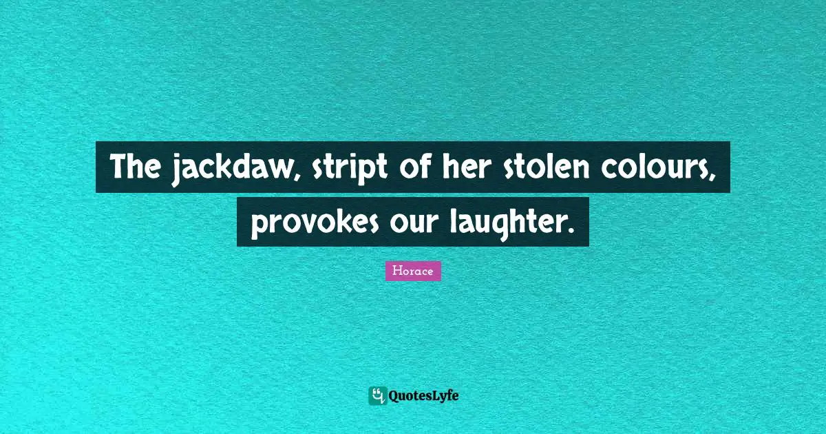 The jackdaw, stript of her stolen colours, provokes our laughter.