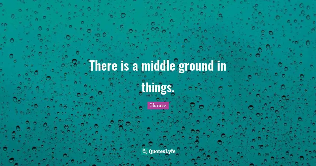 There is a middle ground in things.