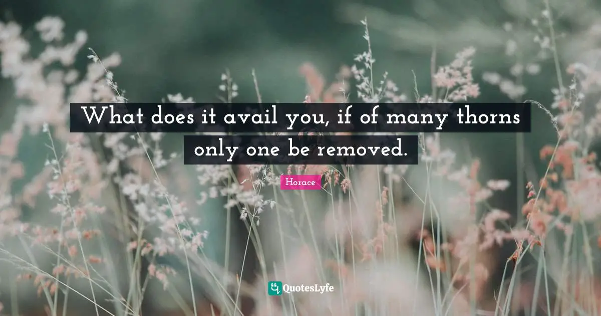 What does it avail you, if of many thorns only one be removed.